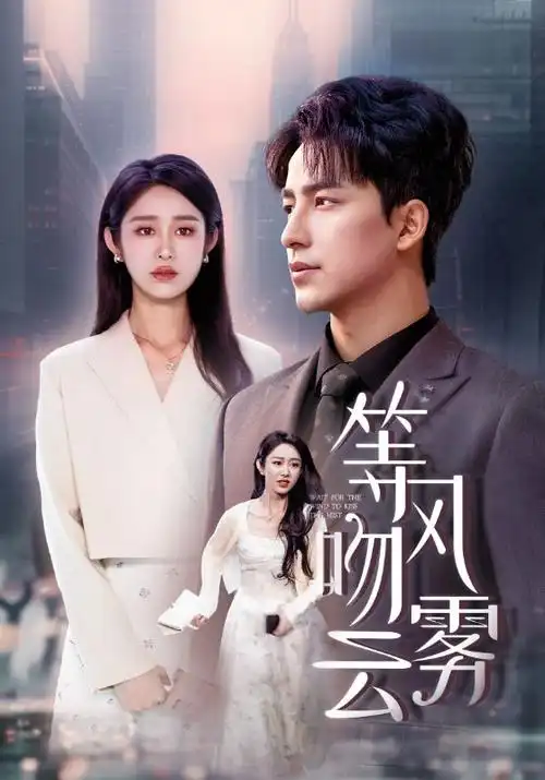 雾港迷案